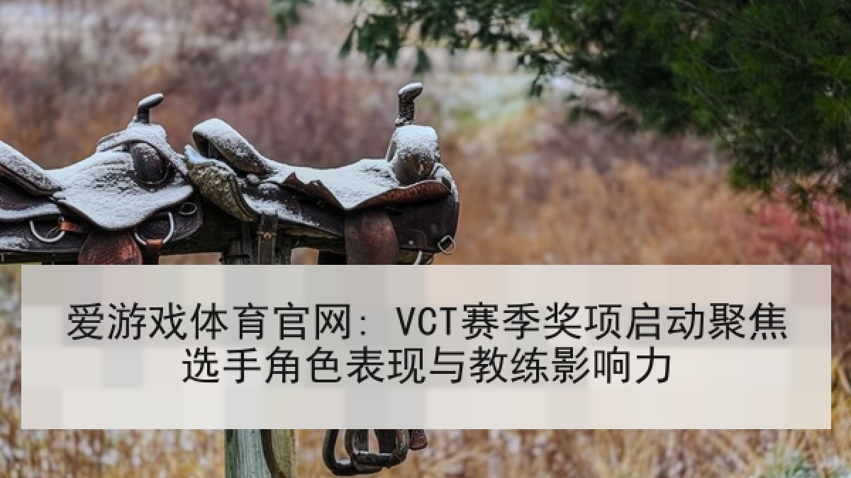 爱游戏体育官网: VCT赛季奖项启动聚焦选手角色表现与教练影响力