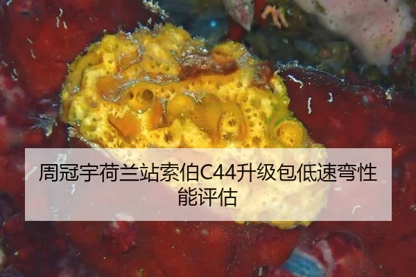 zhou-guan-yu-he-lan-zhan-suo-bo-sheng-ji-bao-di-su-wan-xing-neng-ping-gu-3-793.jpg