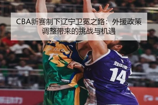 xin-sai-zhi-xia-liao-ning-wei-mian-zhi-lu-wai-yuan-zheng-ce-tiao-zheng-dai-lai-de-tiao-zhan-yu-ji-yu-2-650.jpg