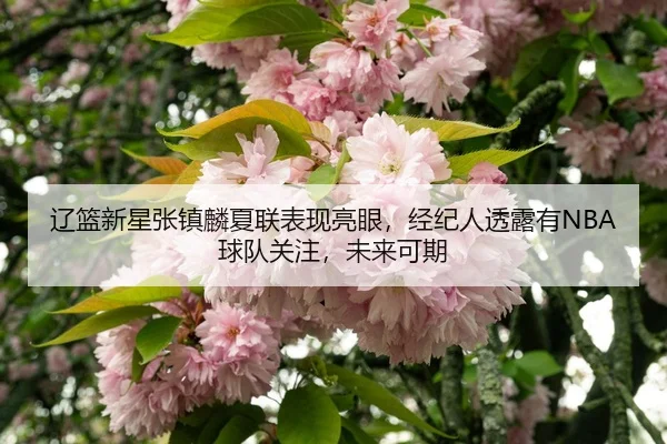 辽篮新星张镇麟夏联表现亮眼，经纪人透露有NBA球队关注，未来可期